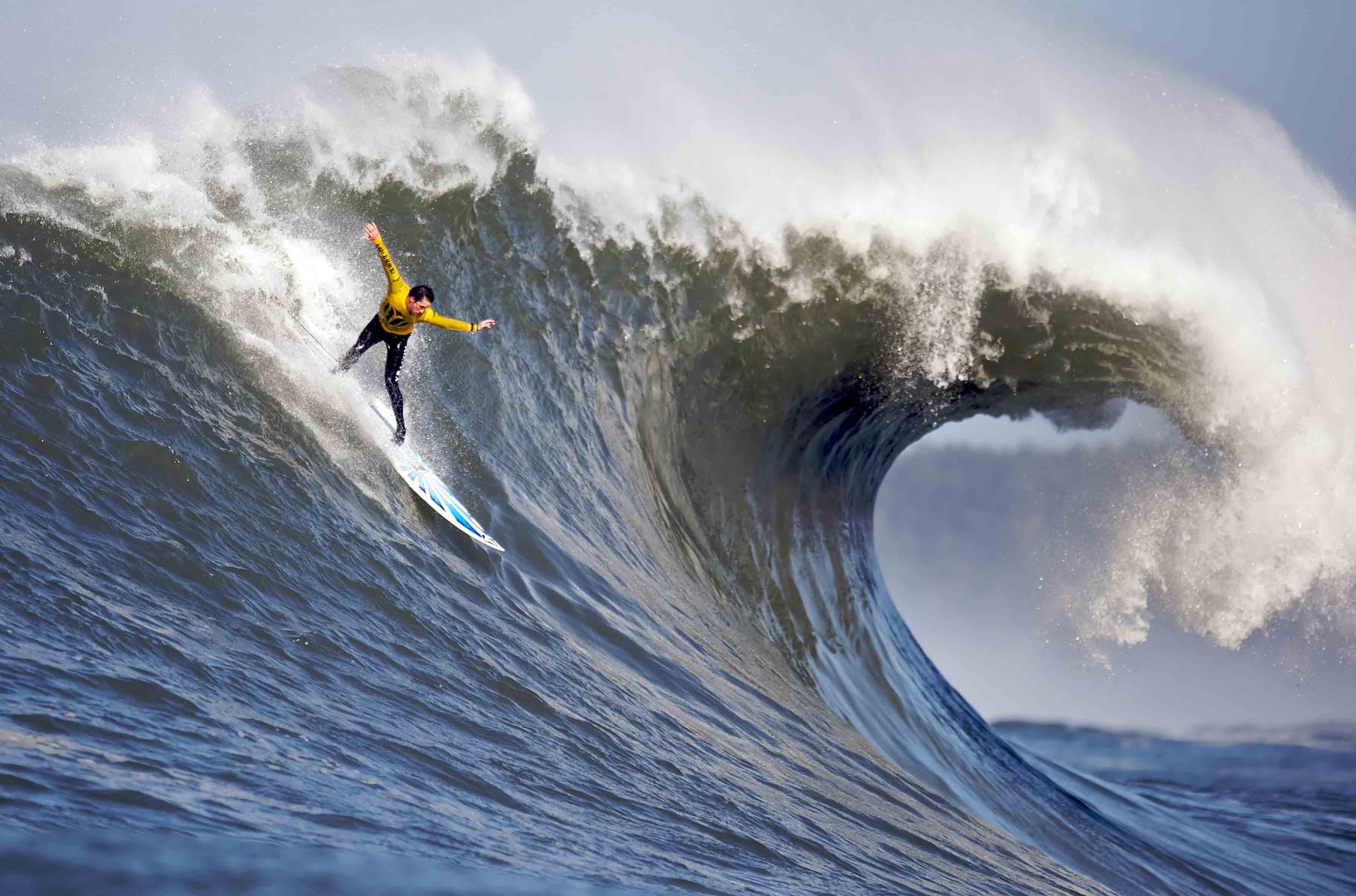 WHALE WATCHING & SURFING SAFARI