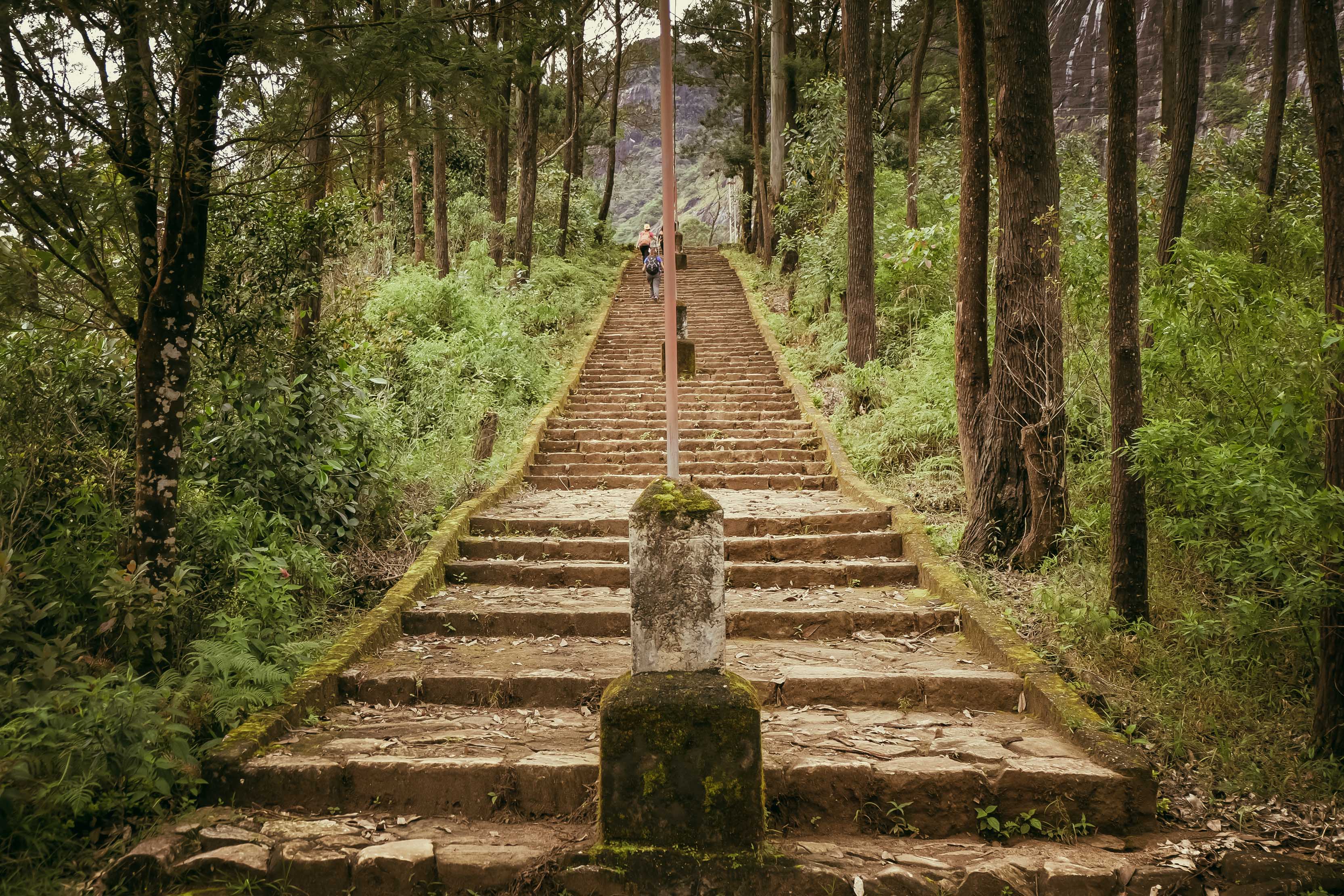 HIKING AND TREKKING TOUR