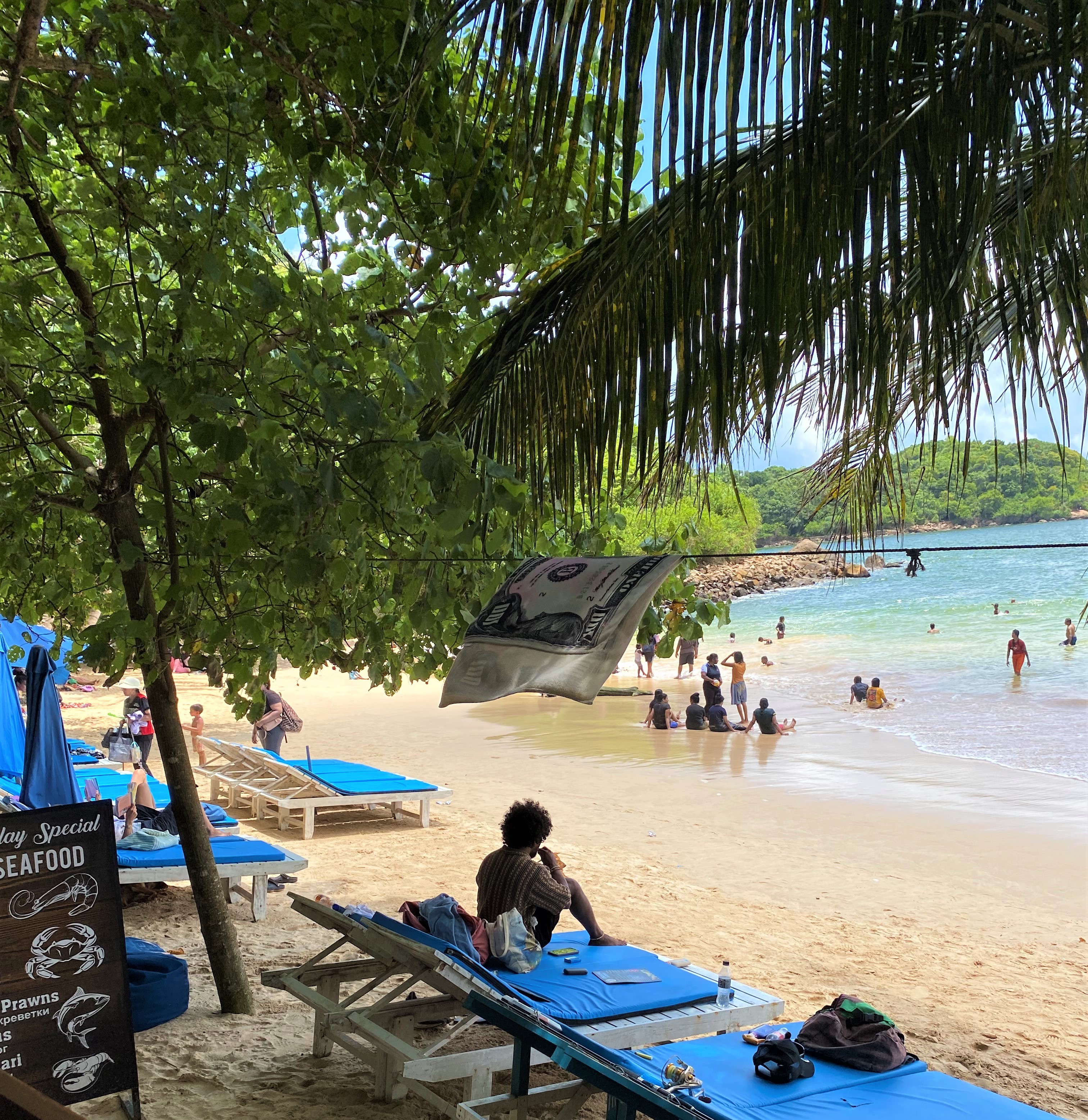 03 Days Southern Ceylon Costal Serenity Tour photo 3